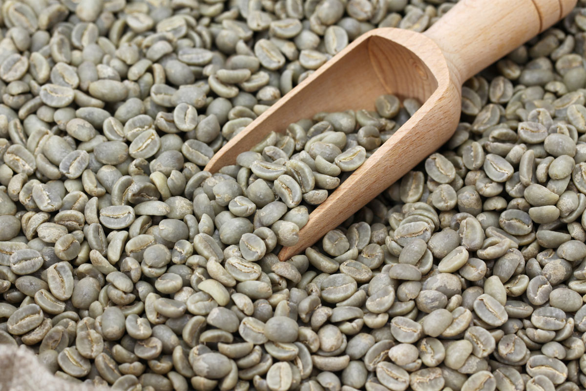 Highland coffee (Beans) | Unroasted Coffee (Beans) | Commercial Coffee (Beans)